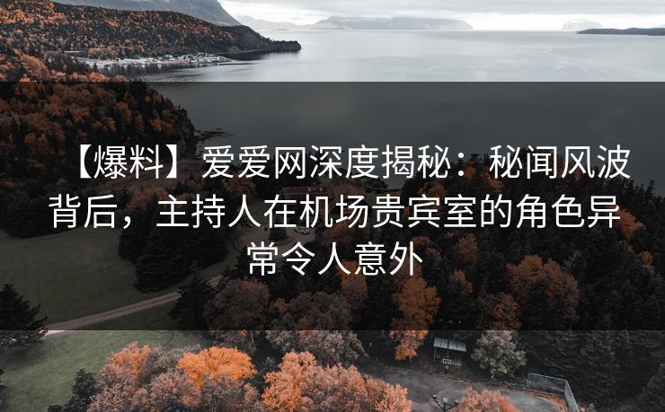 【爆料】爱爱网深度揭秘：秘闻风波背后，主持人在机场贵宾室的角色异常令人意外