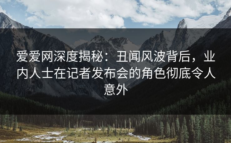 爱爱网深度揭秘：丑闻风波背后，业内人士在记者发布会的角色彻底令人意外