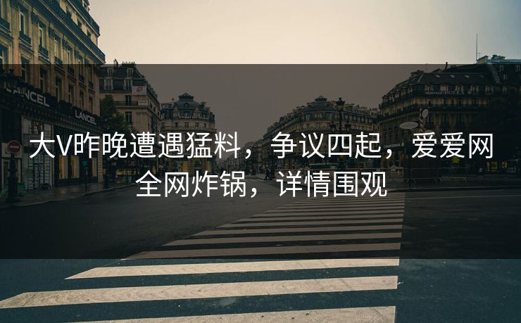 大V昨晚遭遇猛料，争议四起，爱爱网全网炸锅，详情围观