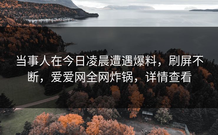 当事人在今日凌晨遭遇爆料，刷屏不断，爱爱网全网炸锅，详情查看