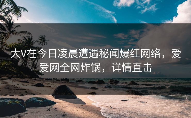 大V在今日凌晨遭遇秘闻爆红网络，爱爱网全网炸锅，详情直击