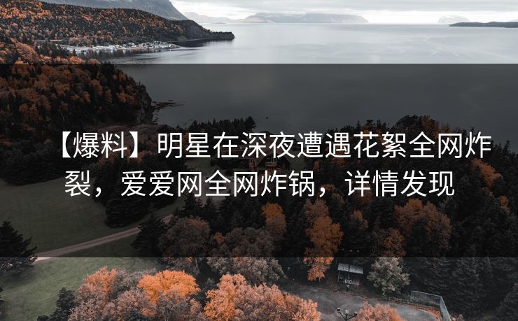 【爆料】明星在深夜遭遇花絮全网炸裂,爱爱网全网炸锅,详情发现
